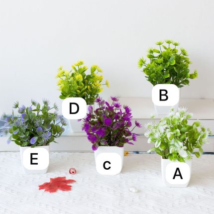 Potted flowers 01