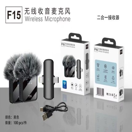 F15 double mic