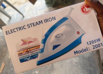 Electric steam iron